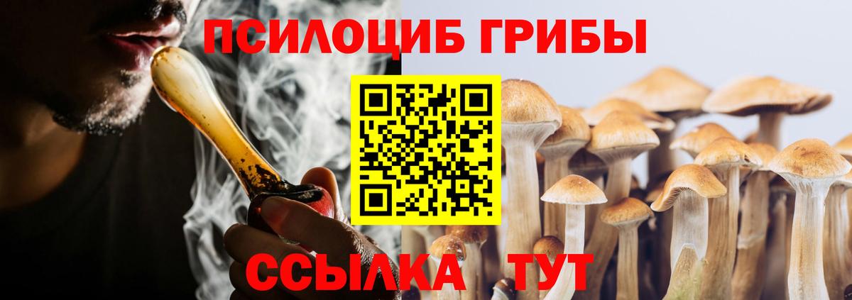 Сланцы  Псилоцибиновые грибы ЛСД  Вход с VPN 