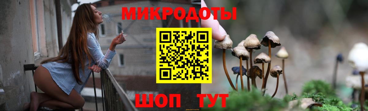 Псилоцибиновые грибы GOLDEN TEACHER Сланцы